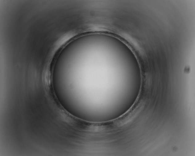 X0000103441269200809121354