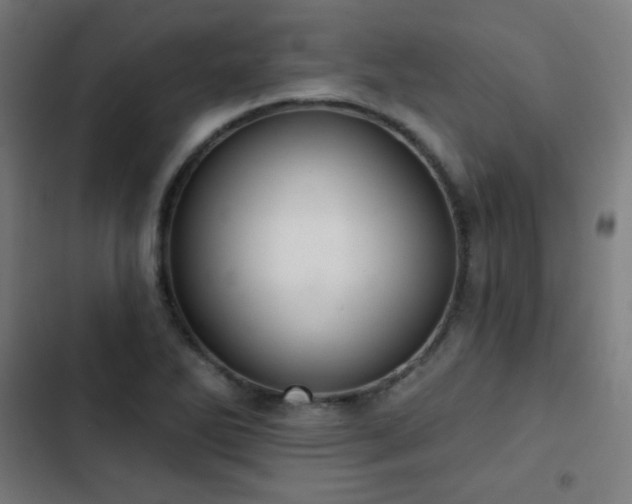 X0000103441270200809121354