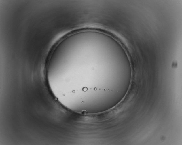 X0000103441271200809121354