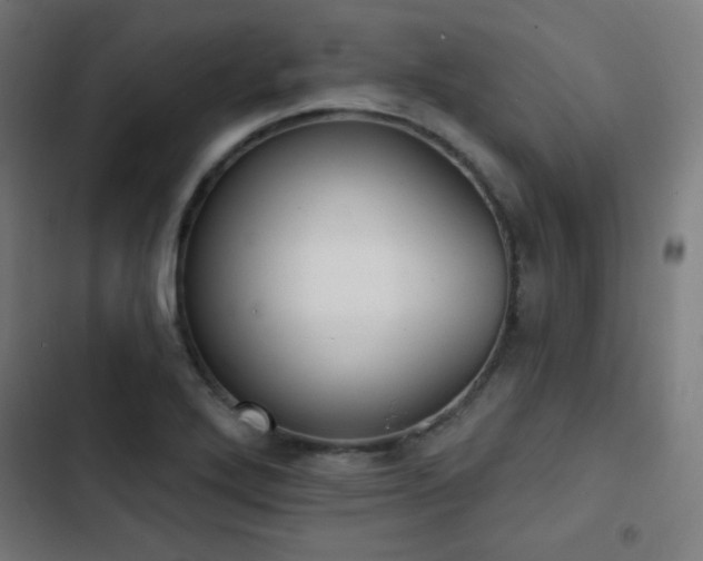 X0000103441272200809121354