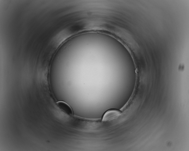 X0000103441273200809121354