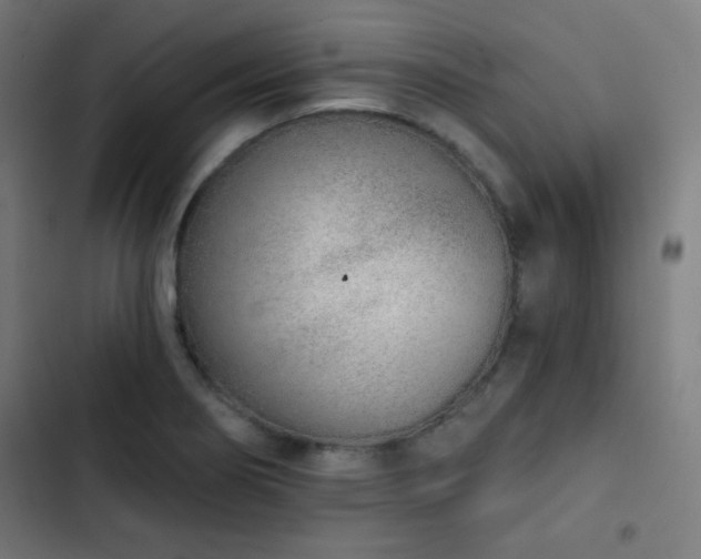 X0000103441274200809121354