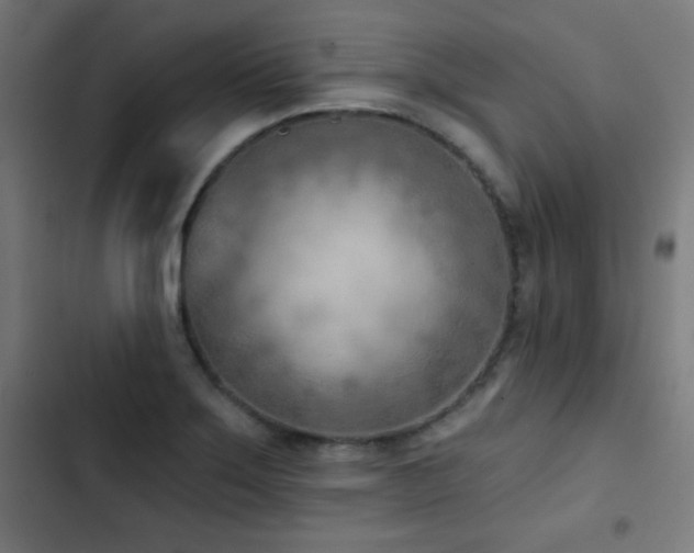X0000103441275200809121354