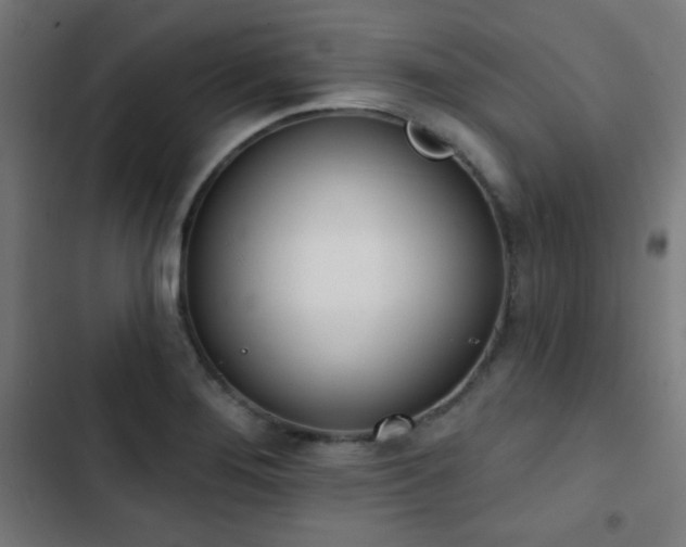 X0000103441276200809121354