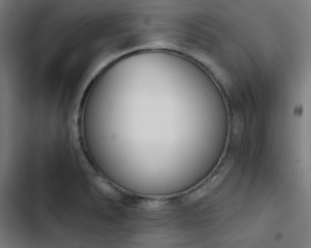 X0000103441278200809121354