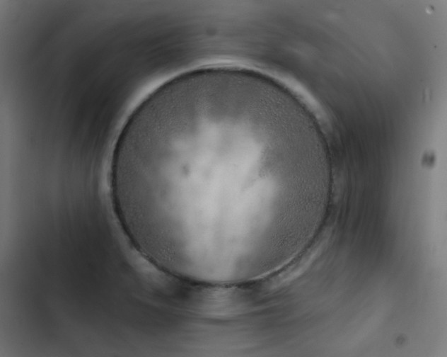 X0000103441279200809121354