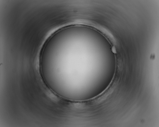 X0000103441280200809121354