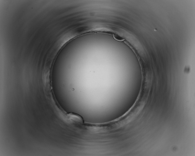 X0000103441281200809121354