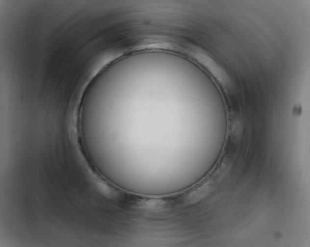 X0000103441282200809121354