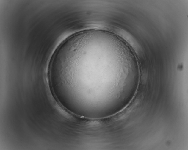 X0000103441283200809121354
