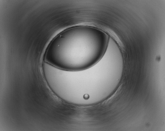 X0000103441284200809121354