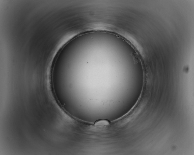 X0000103441285200809121354