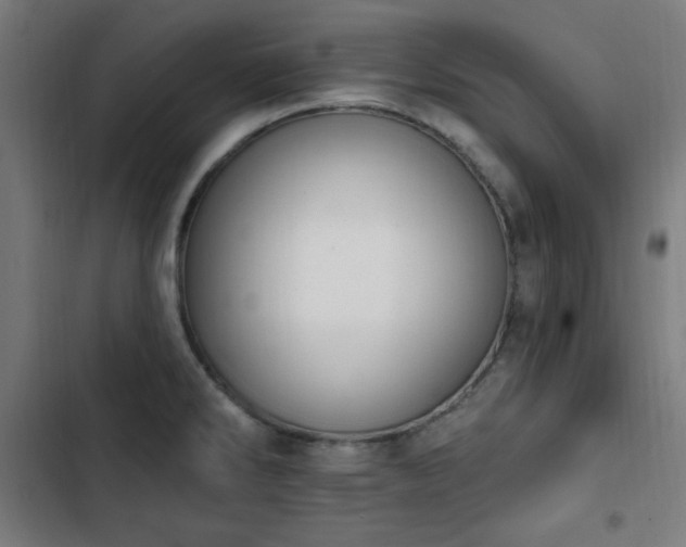 X0000103441286200809121354