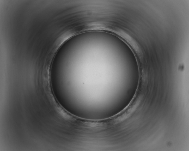 X0000103441289200809121354