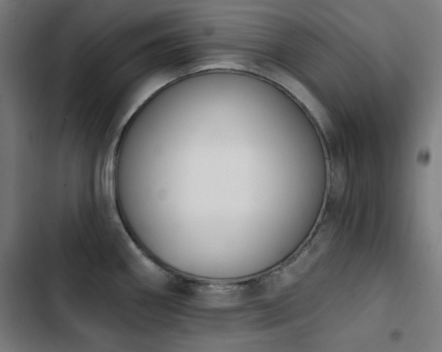 X0000103441290200809121354