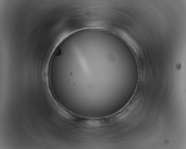 X0000103441291200809121354