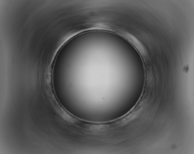 X0000103441292200809121354