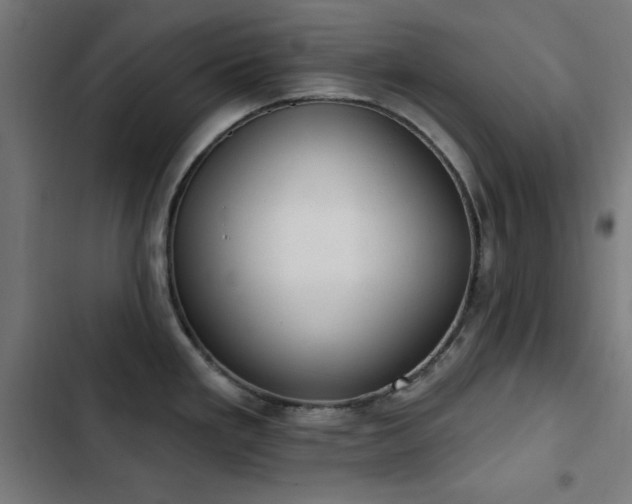 X0000103441293200809121354