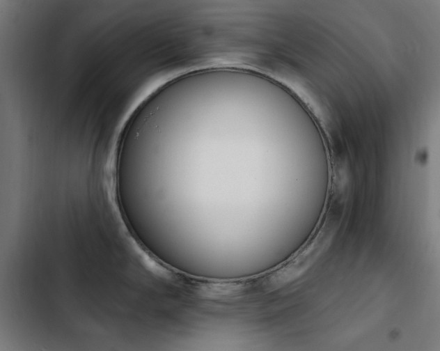 X0000103441294200809121354