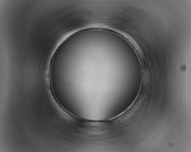 X0000103441295200809121354
