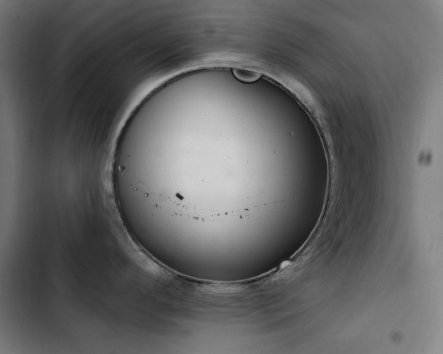 X0000103441296200809121354