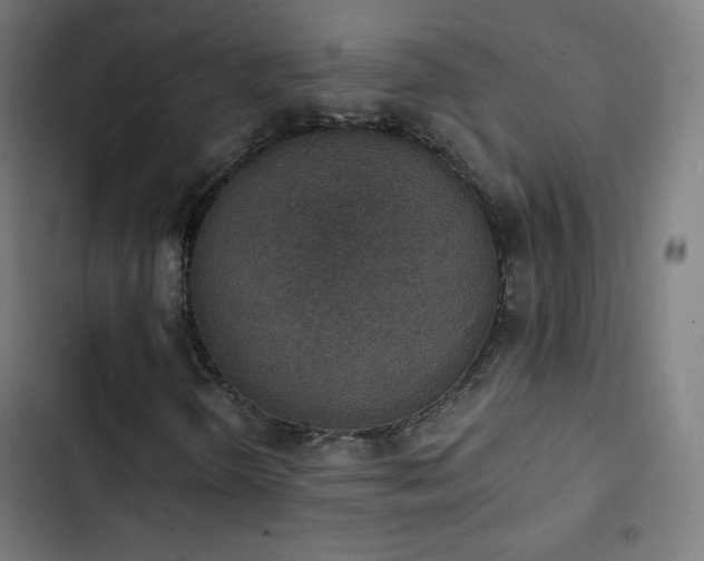 X0000103441298200809121353