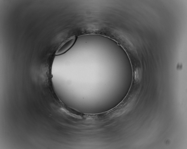 X0000103441299200809121353