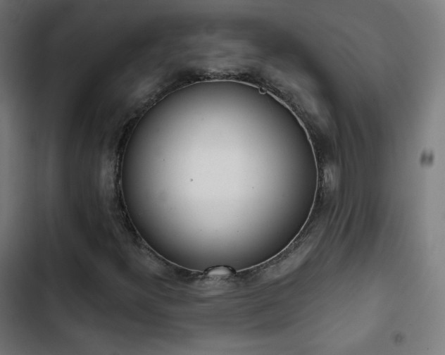 X0000103441300200809121353