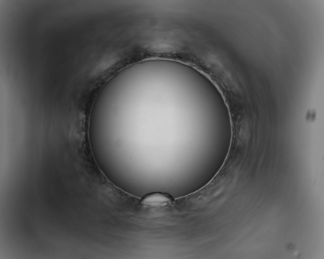 X0000103441301200809121353