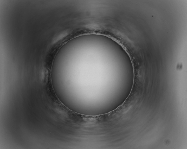 X0000103441302200809121353