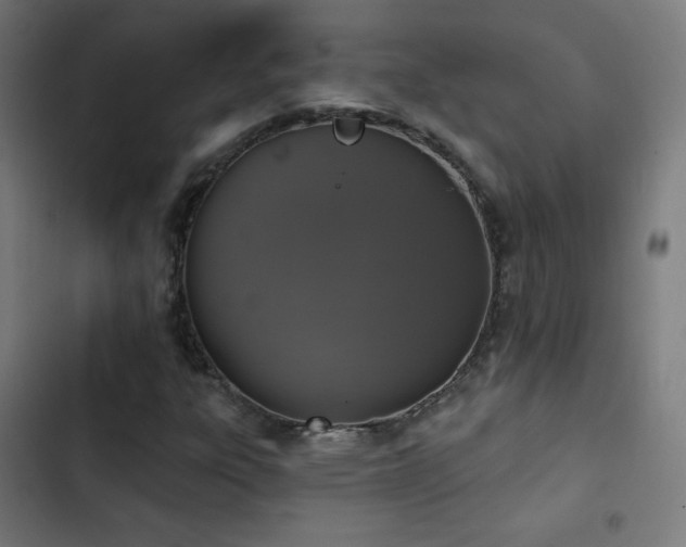 X0000103441303200809121353