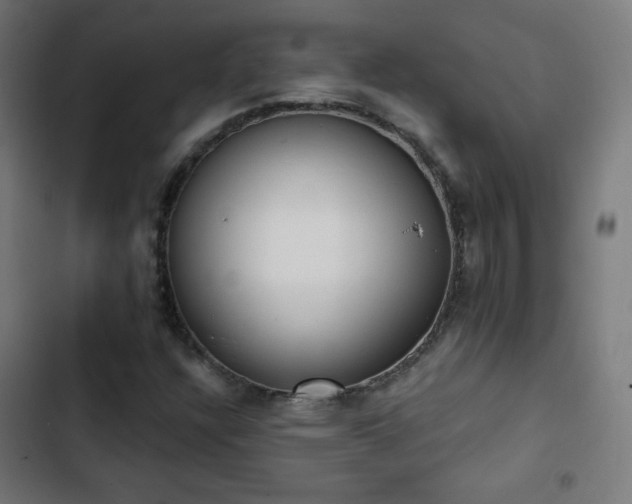 X0000103441304200809121353