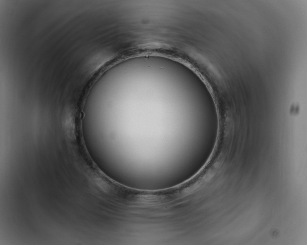 X0000103441305200809121353