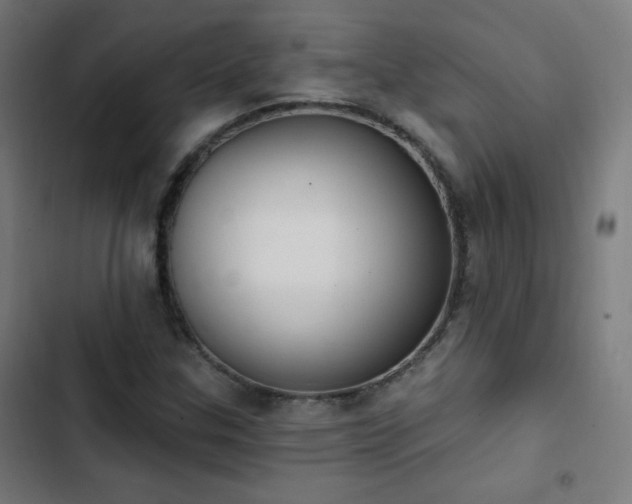 X0000103441307200809121353