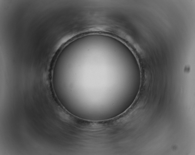 X0000103441308200809121353
