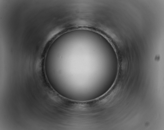 X0000103441309200809121353