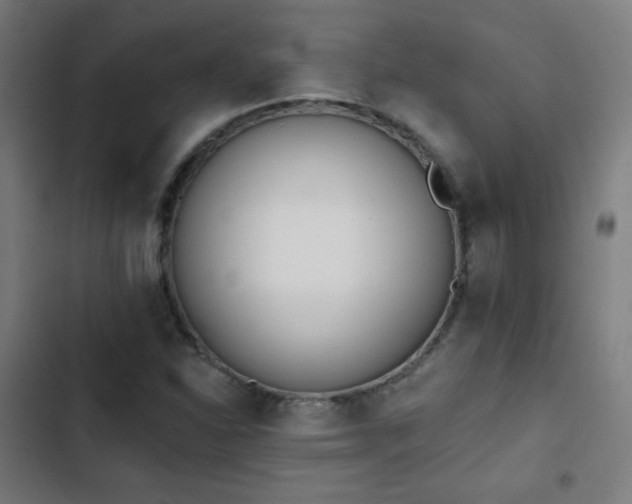 X0000103441310200809121353