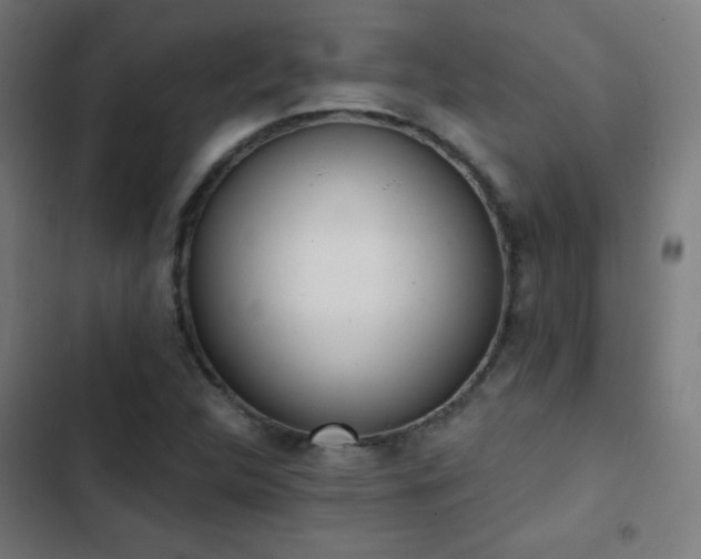 X0000103441312200809121353