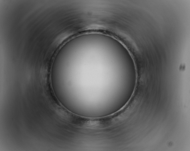 X0000103441313200809121353