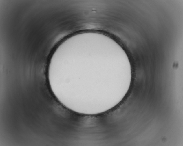 X0000103441314200809121353