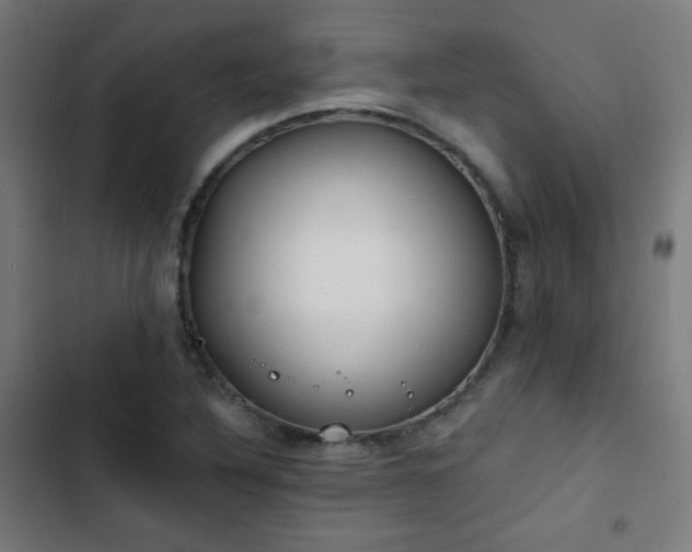 X0000103441316200809121353