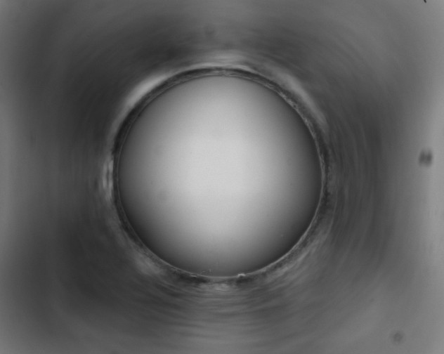 X0000103441320200809121353