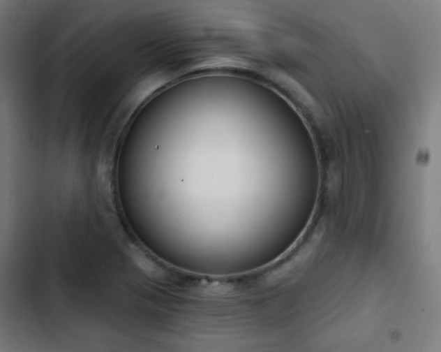 X0000103441321200809121353