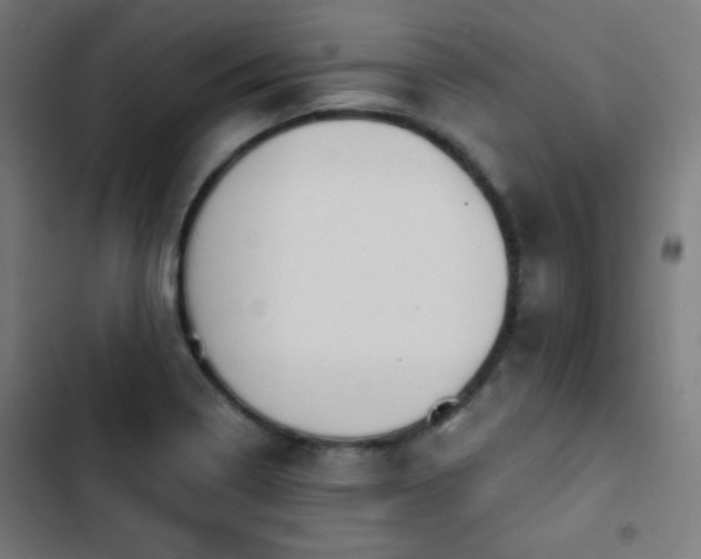 X0000103441322200809121353