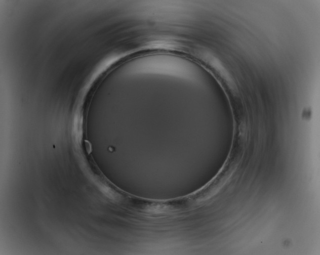 X0000103441323200809121353