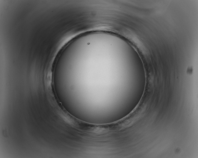 X0000103441324200809121353