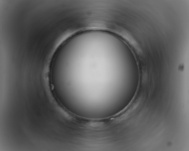 X0000103441325200809121354
