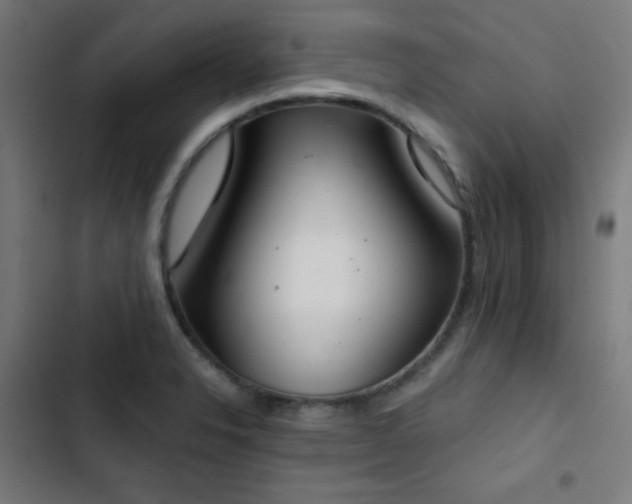 X0000103441326200809121354