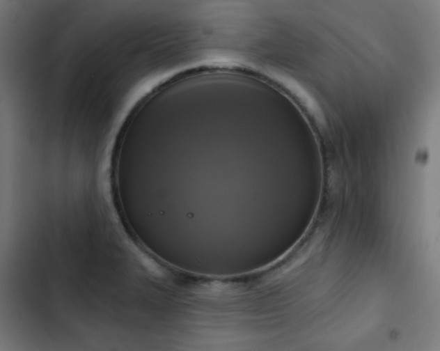 X0000103441327200809121354