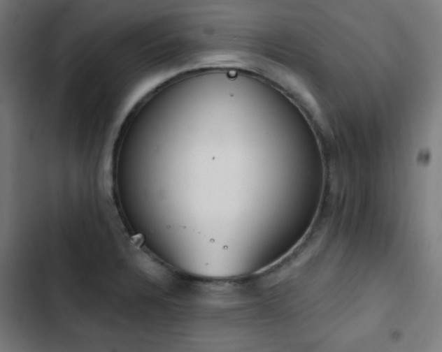 X0000103441328200809121354